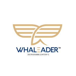 whaleader_web3 copy